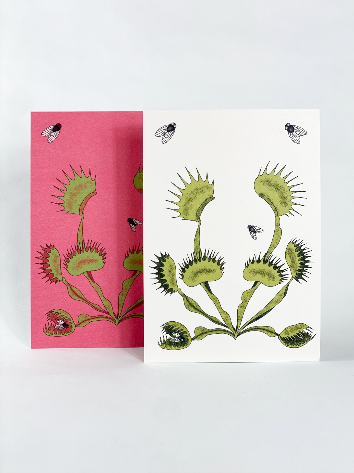 Venus Fly Trap Print
