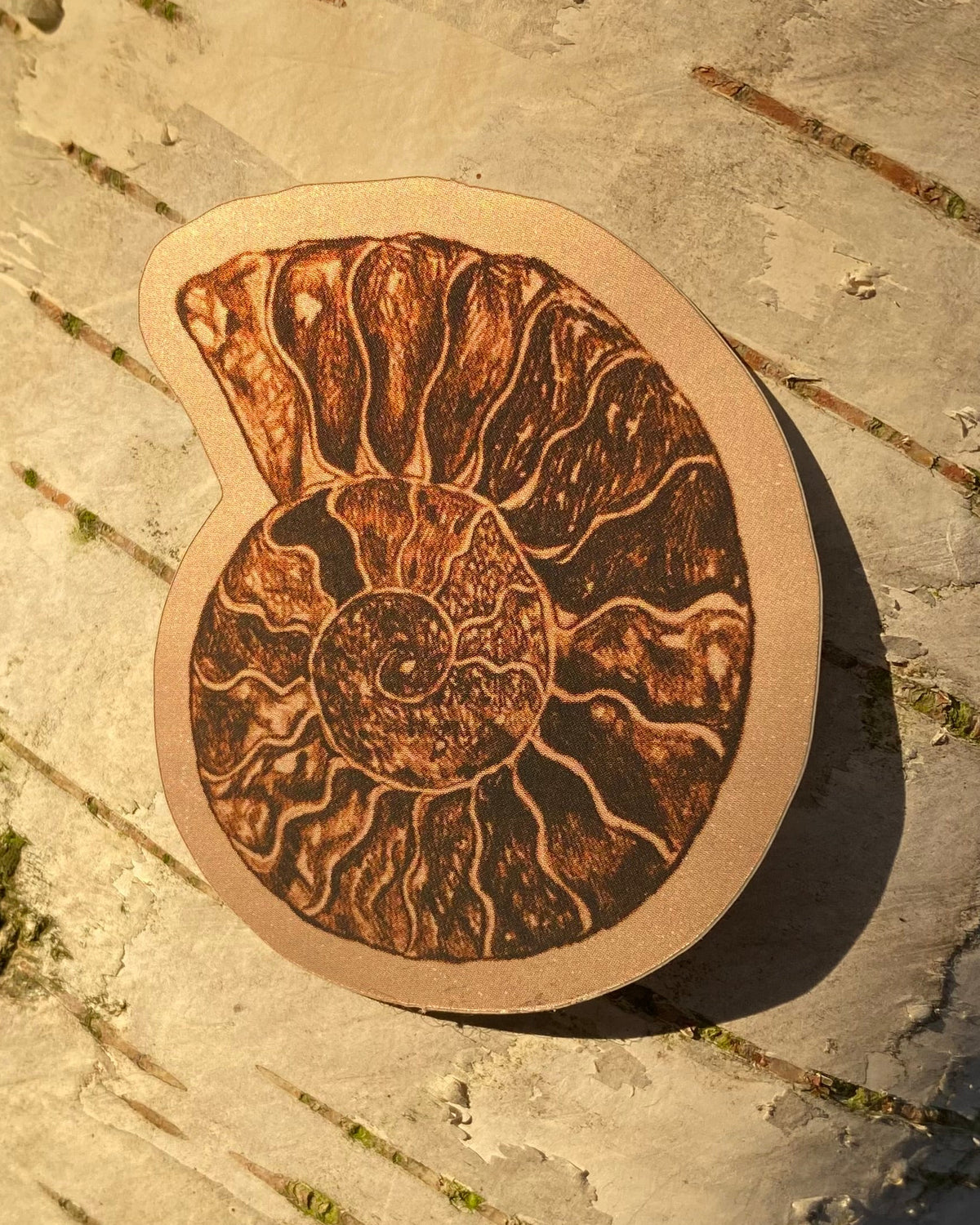 Ammonite Sticker brun