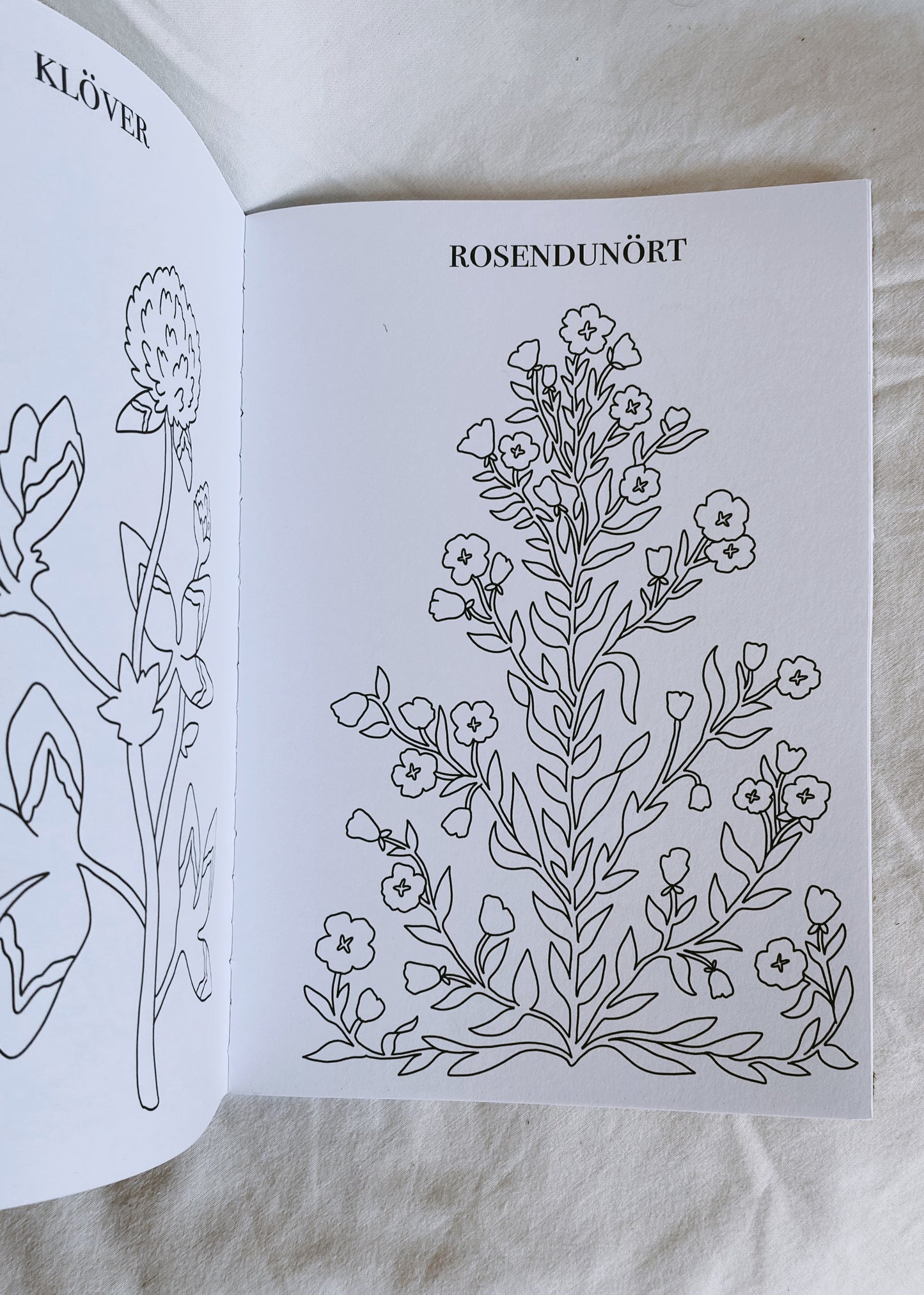 Målarbok med svenska vildblommor