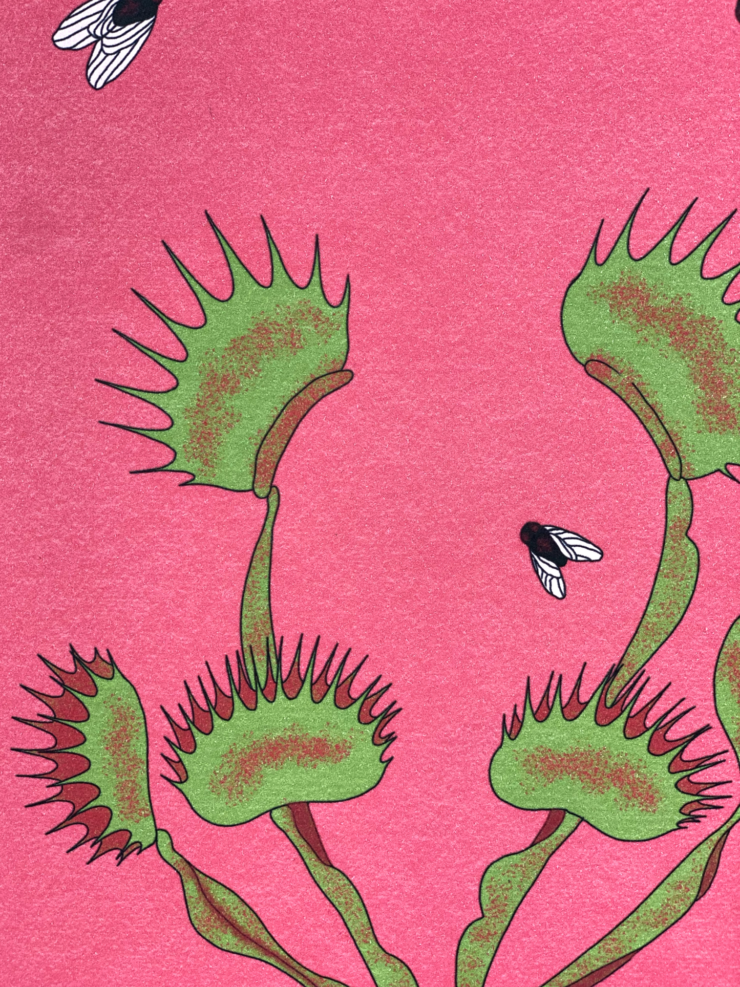 Venus Fly Trap Print