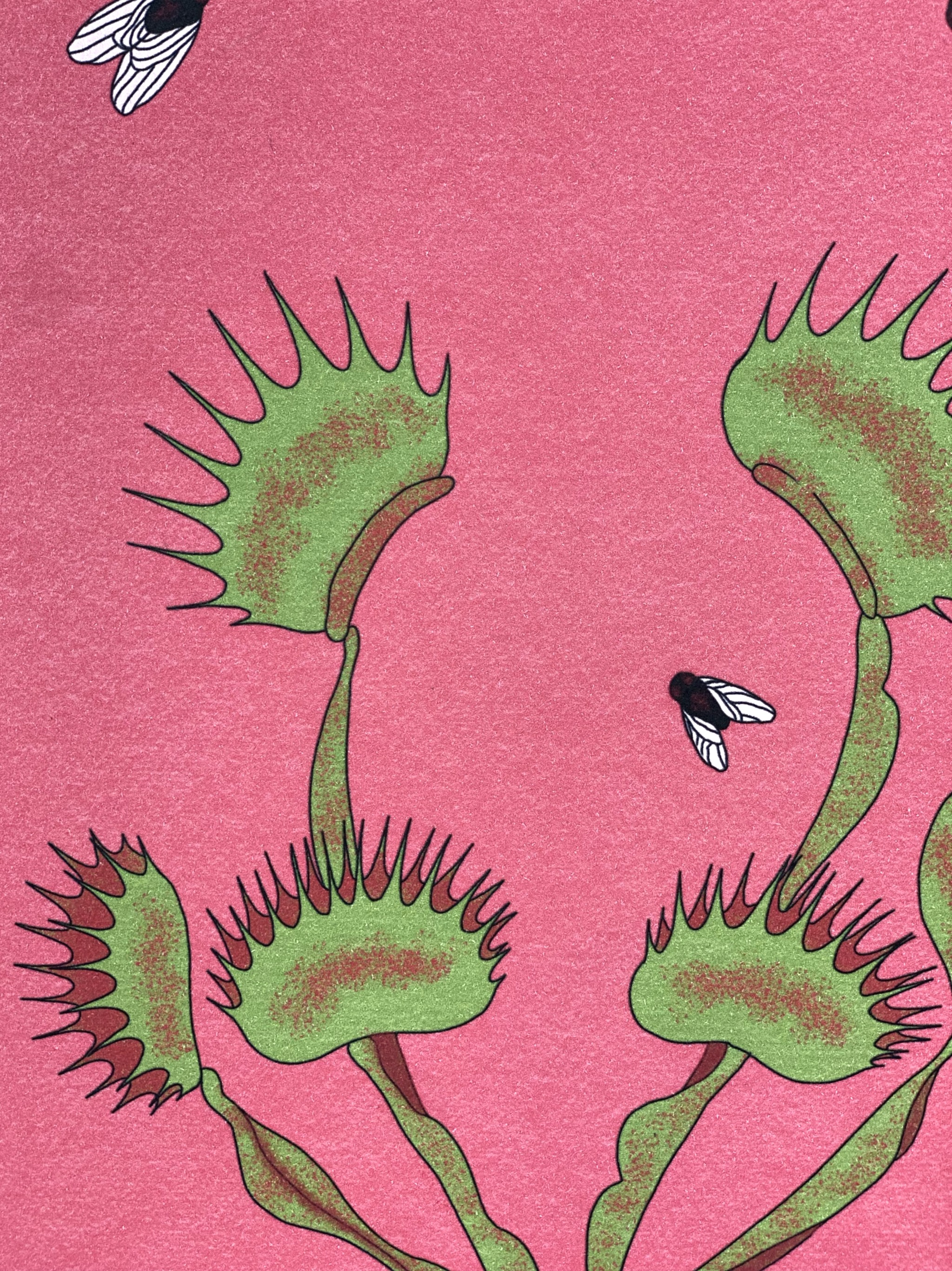 Venus Fly Trap Print