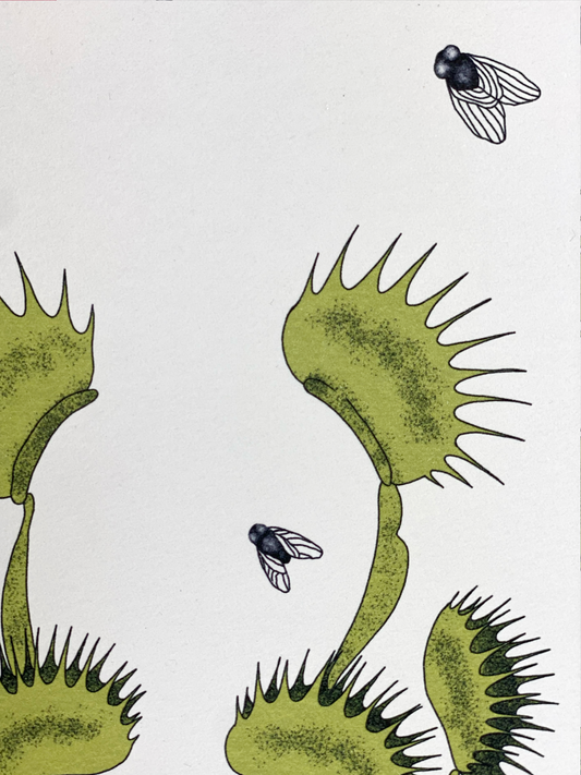 Venus Fly Trap Print