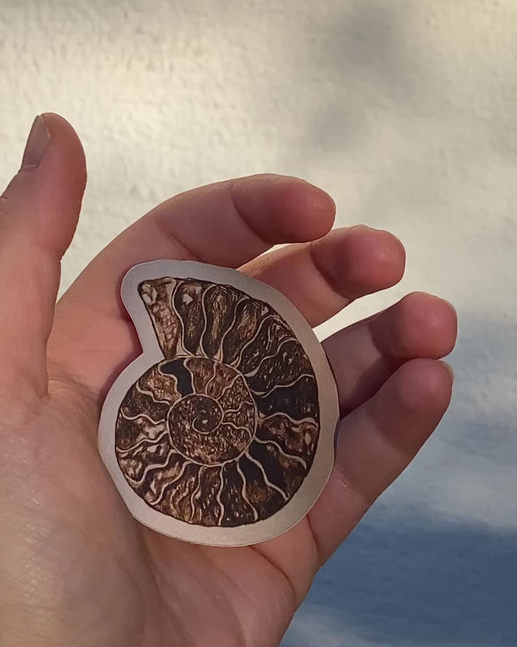 Ammonite Sticker brun